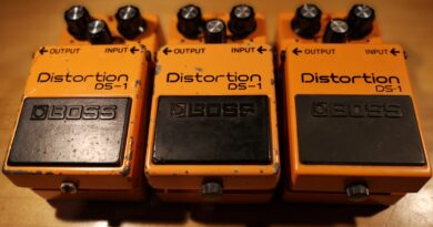 BOSS DS-1